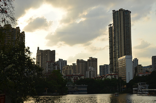 ������Ӱ