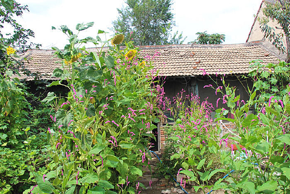 ����Ժ�Ӿ�ɫ