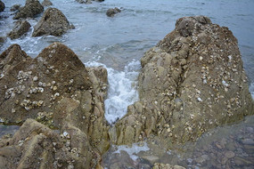 ϵĽʯ