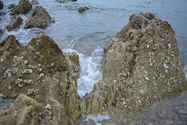 ��ʯ����