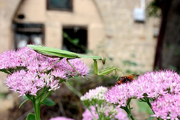 ��������