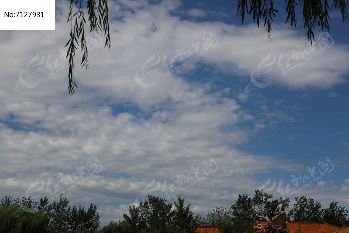 �������ͼƬ