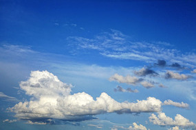 ������Ʒ��