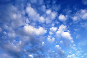 ������Ʒ羰