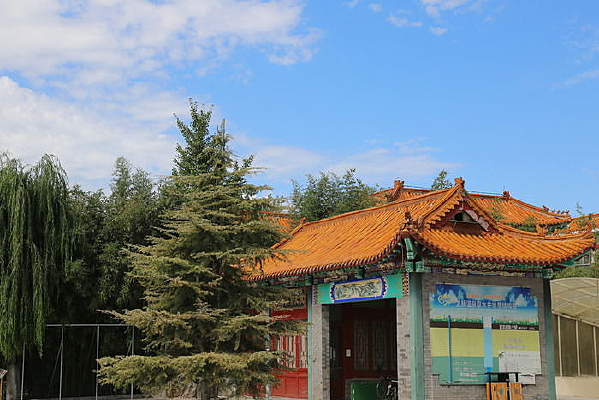 �����µ�������