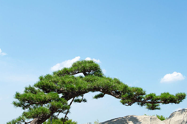 ������ӭ����