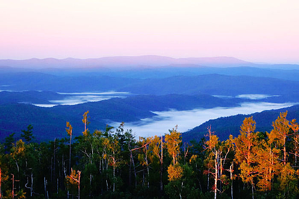 ��ɫ�ֺ�����