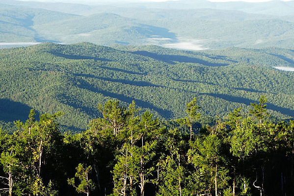 ãã��ɫ�ֺ�