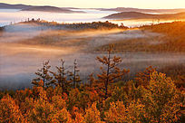 ɽ�ֳ����ƺ�