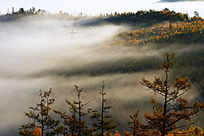 ɽ�ֳ����ƺ�