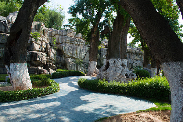 ��ľ�еĵ�·