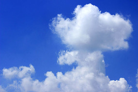 Ψ������