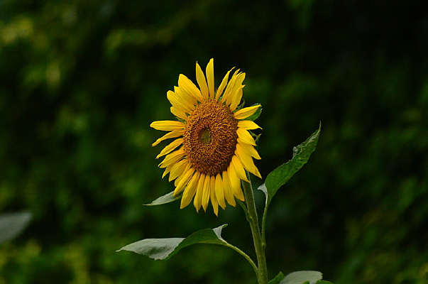 ���տ���д�羰ͼƬ