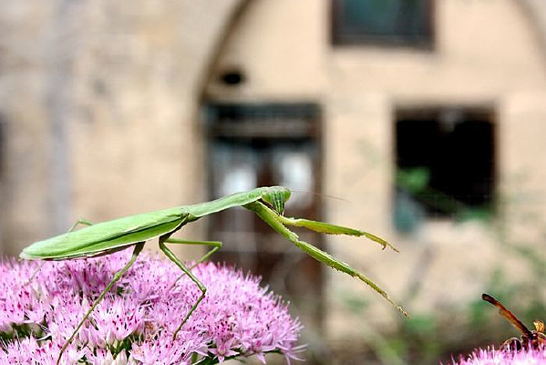 ������㼻����