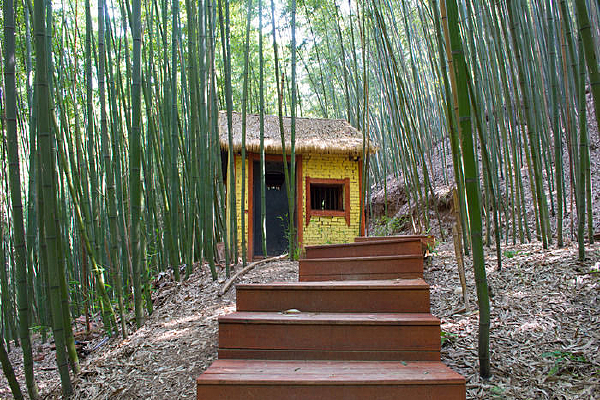 �����еĵ�·