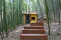 ������Сľ��