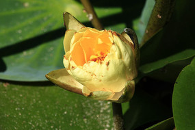 �뿪�Ļ�����