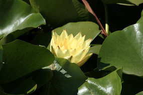 �뿪�Ļ�����