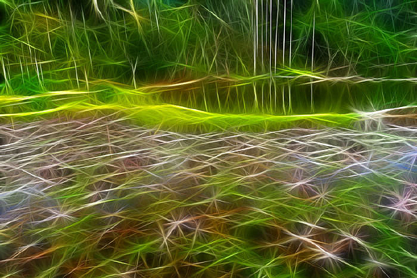 ���Ի���������