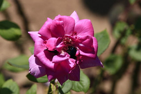 �����¼���