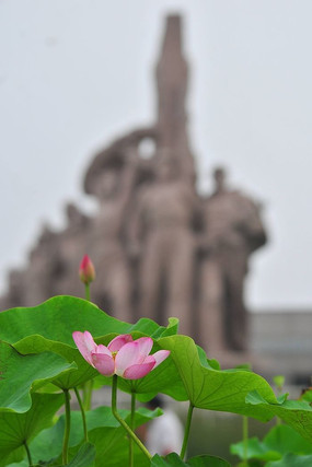 �ɻ���ë��ϯ������ǰ��ũ��ѧ������