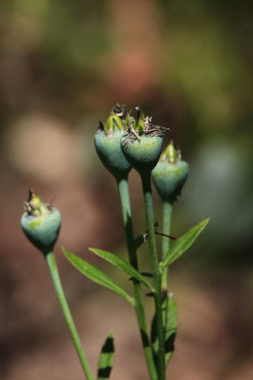 �۹�����