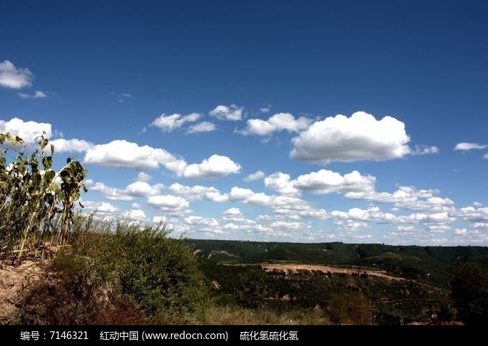 ����ƮƮͼƬ