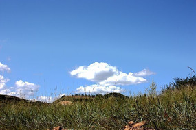 �ݵ��ϵ�����