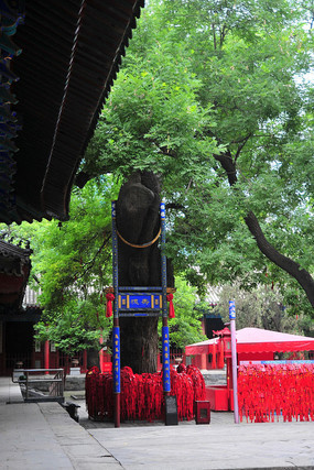 �������ٻ�