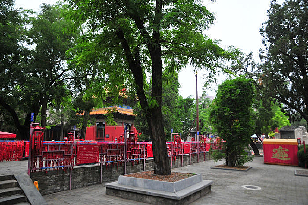 ��Ժ����