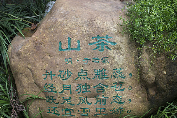 ��԰ɽ��ʫ��ʯͷ