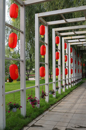 ������軨