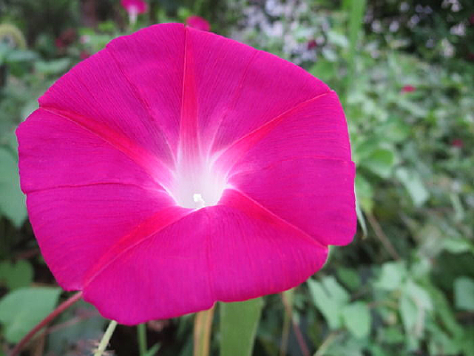 ����ǣţ��