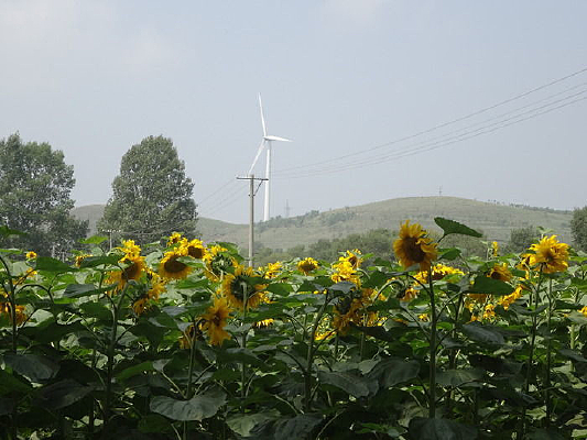 ����̫����