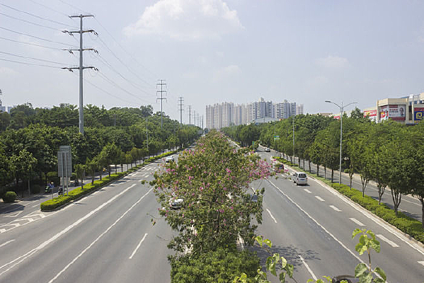 �������ٻ���