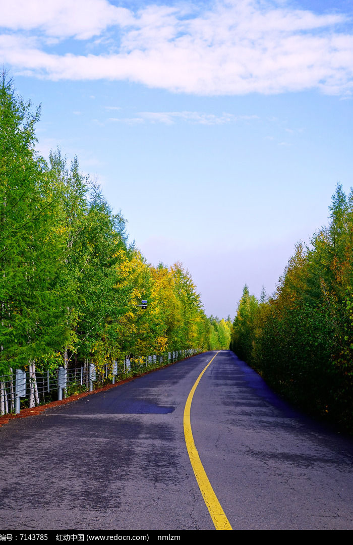 山林道路