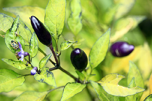 С������