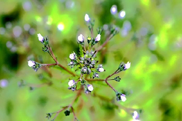 Ұ������