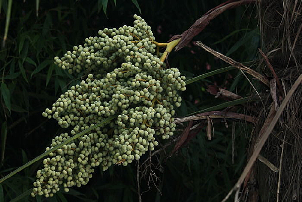 �������