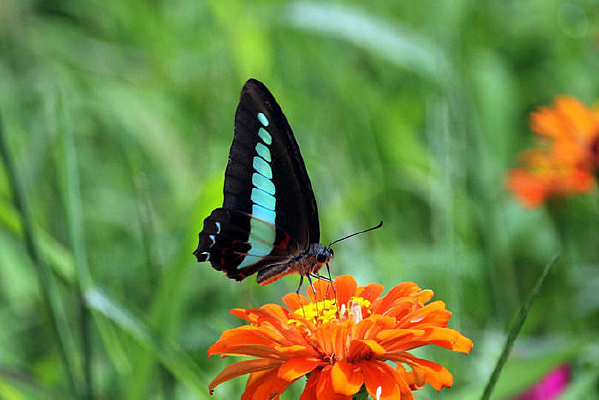 ���ղ��ϵĺ���