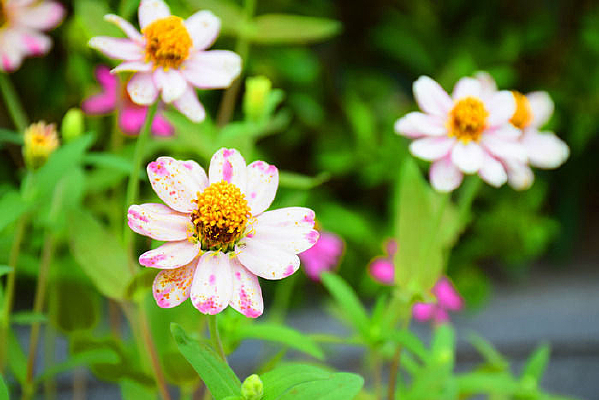 ���ݳ���