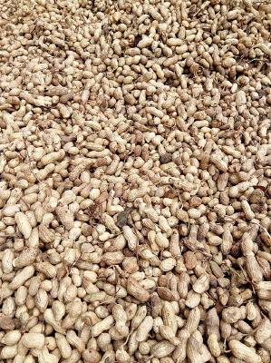 ���յĻ���