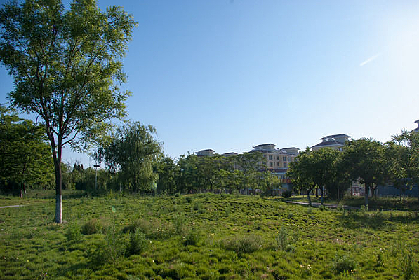 �����̵ؾ���¥