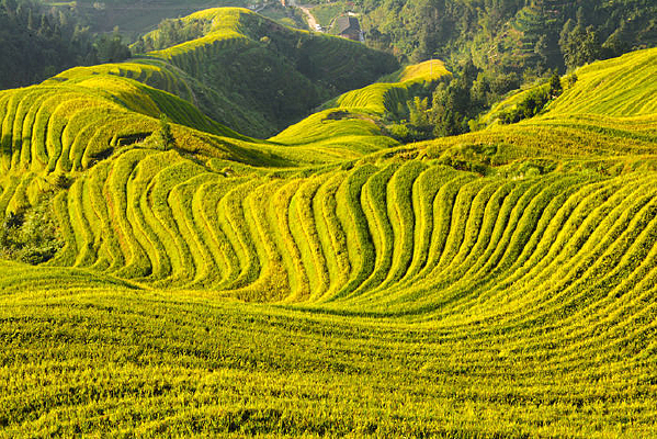 �����µľ�ɫ