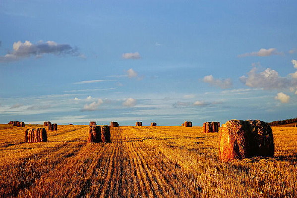 ũ���������