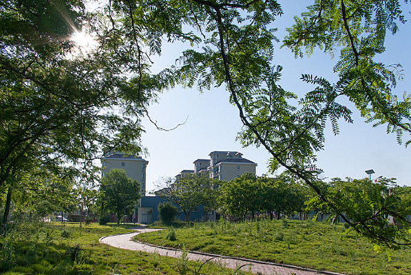 �ճ����С��