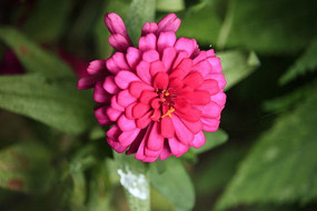 ʢ���ķ۰��ղ�