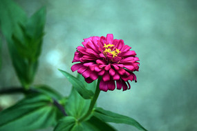 ʢ���ĺ���ղ�