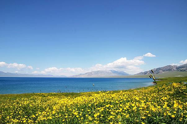 ����ľ���ذ��Ļ���