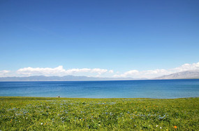 Զľȫ